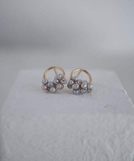 Seed GY circlestud pierce
