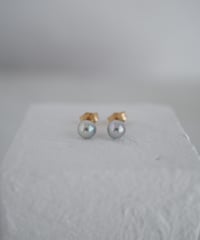 Akoya  aoboshi stud pierce  M