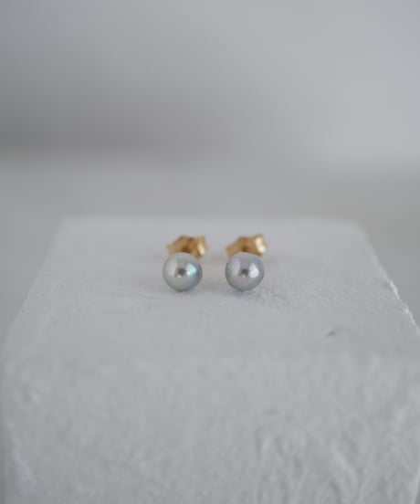 Akoya  aoboshi stud pierce  M