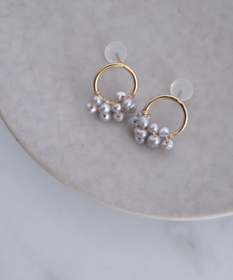 Seed GY circlestud pierce