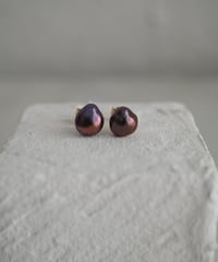 Marron stud pierce
