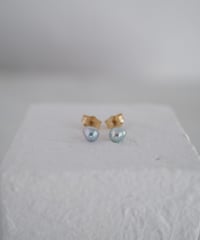 Akoya  aoboshi stud pierce  S