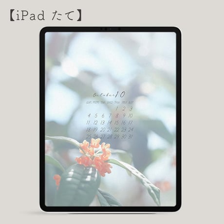 2026年10月壁紙カレンダープレゼント！（iPadたて）