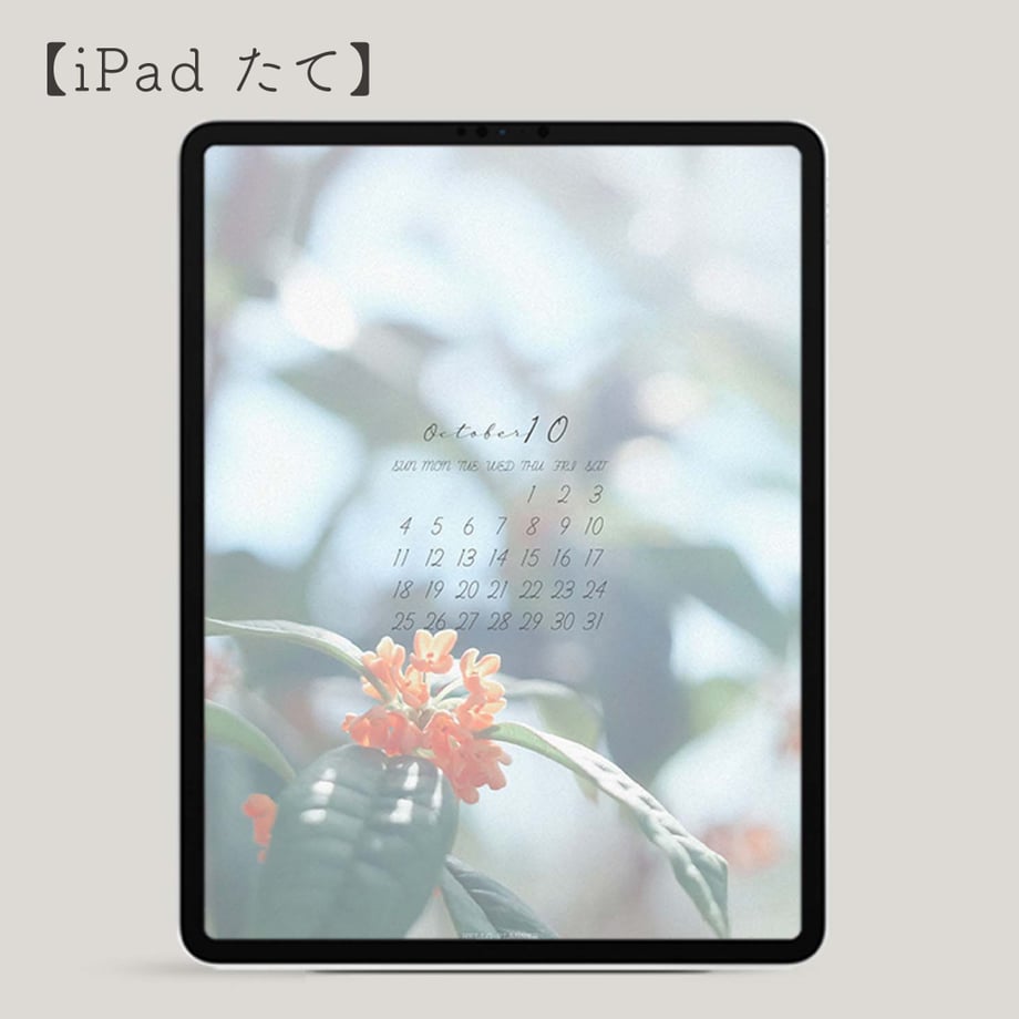 63be2b145ff42304ec7b0e1e