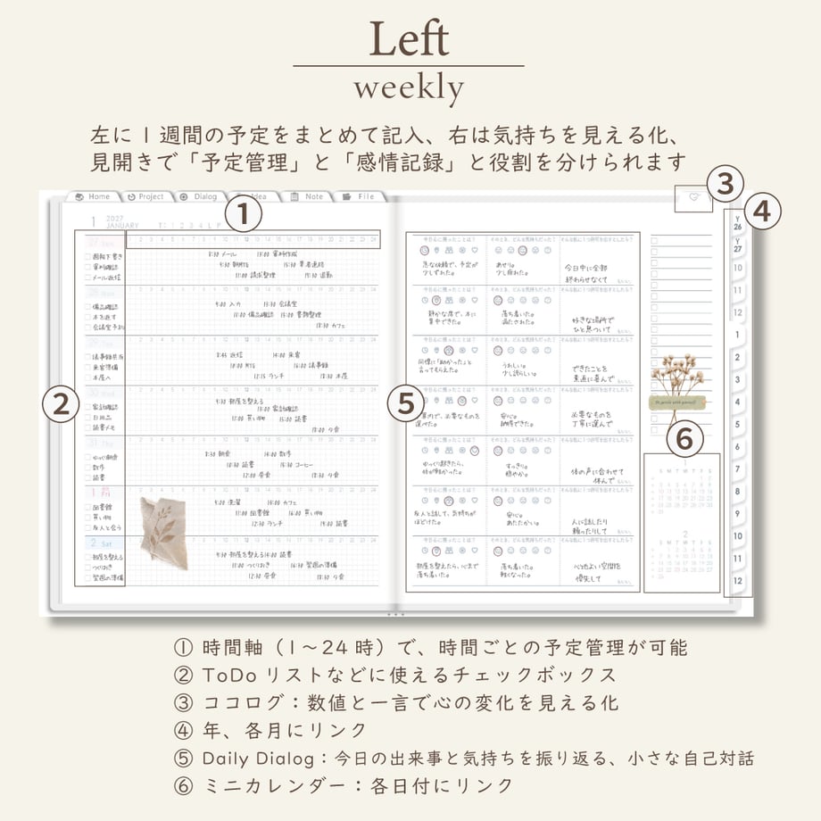 6ab1ef03e91d2ca49ee26a81