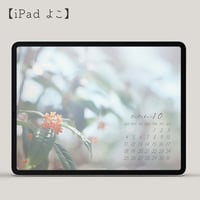 2026年10月壁紙カレンダープレゼント！（iPadよこ）