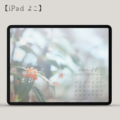 2026年10月壁紙カレンダープレゼント！（iPadよこ）