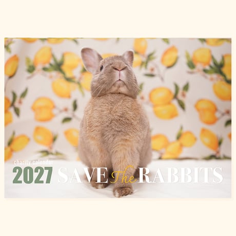 【壁掛】SAVE THE RABBITS チャリティカレンダー2027