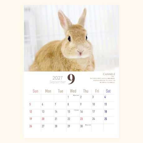 【壁掛】SAVE THE RABBITS チャリティカレンダー2027