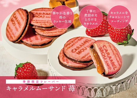 【ギフト対応】キャラメルムーサンド 3種のアソートセット 苺L 24 個入