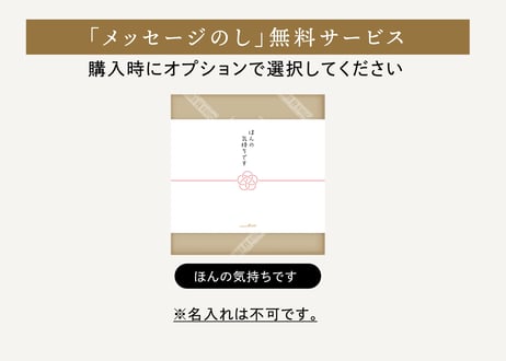 【ギフト対応】ガトーセレクションS 10個入