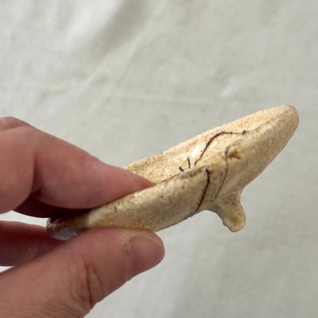 猫豆皿　sa001643