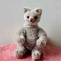 テディキャット2