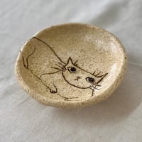 猫豆皿　sa001643