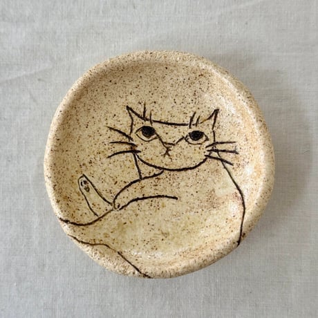猫豆さら　sa001624