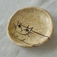 猫豆皿　sa001639