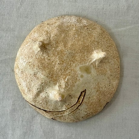 猫豆さら　sa001624