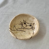 猫豆さら　sa001624