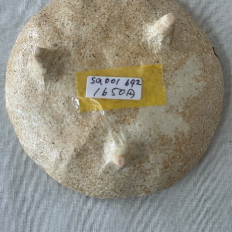 猫豆皿　sa001642
