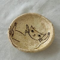 猫豆皿　sa001640