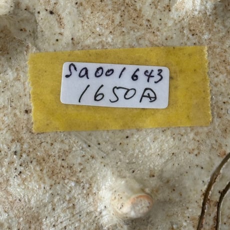 猫豆皿　sa001643
