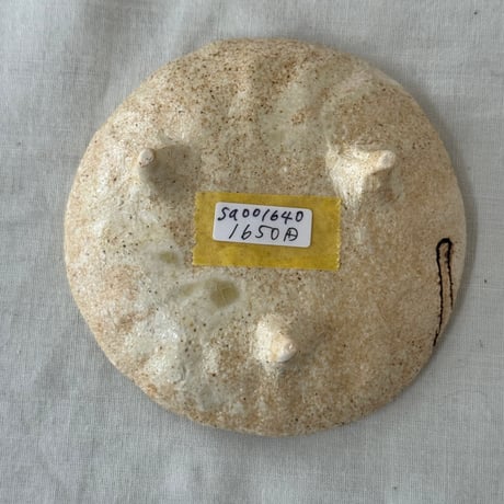 猫豆皿　sa001640