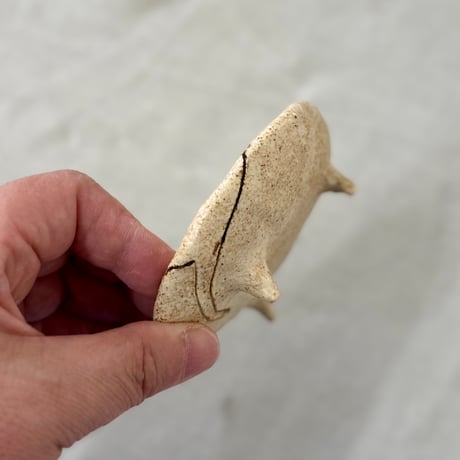 猫豆さら　sa001624