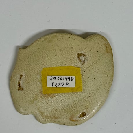 猫型豆皿　sa008498