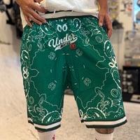 UNDERRATED Paisley Shorts GREEN/NAVY