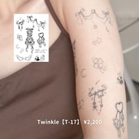 Karisome｜Twinkle【T-17】