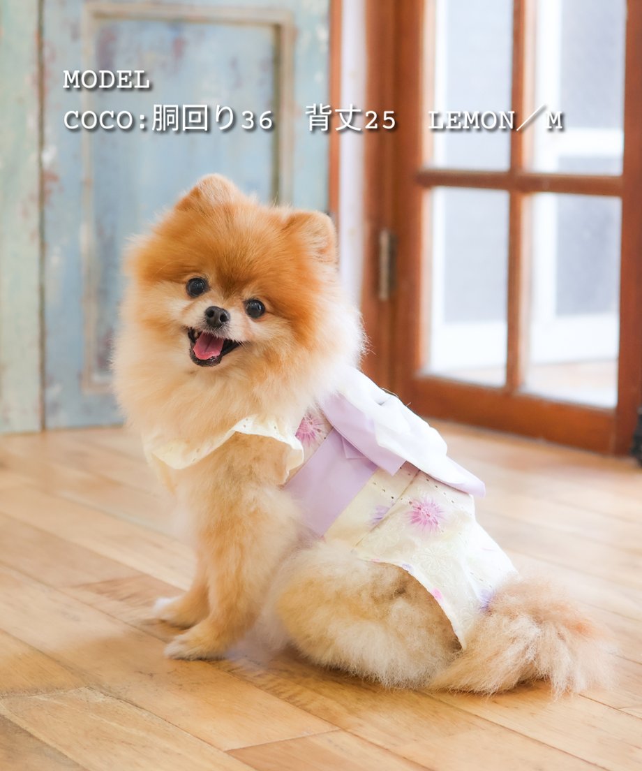6a4df692096124653d19affd