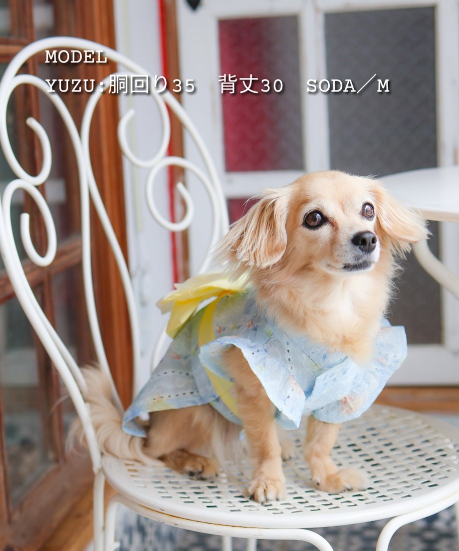 6a4df692096124653d19affd
