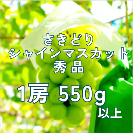 【2026年販売開始】さきどりシャインマスカット秀品1房550g以上☆サマーギフトにも