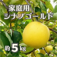 【2026年販売開始】家庭用シナノゴールド5kg☆お得で美味しい♪