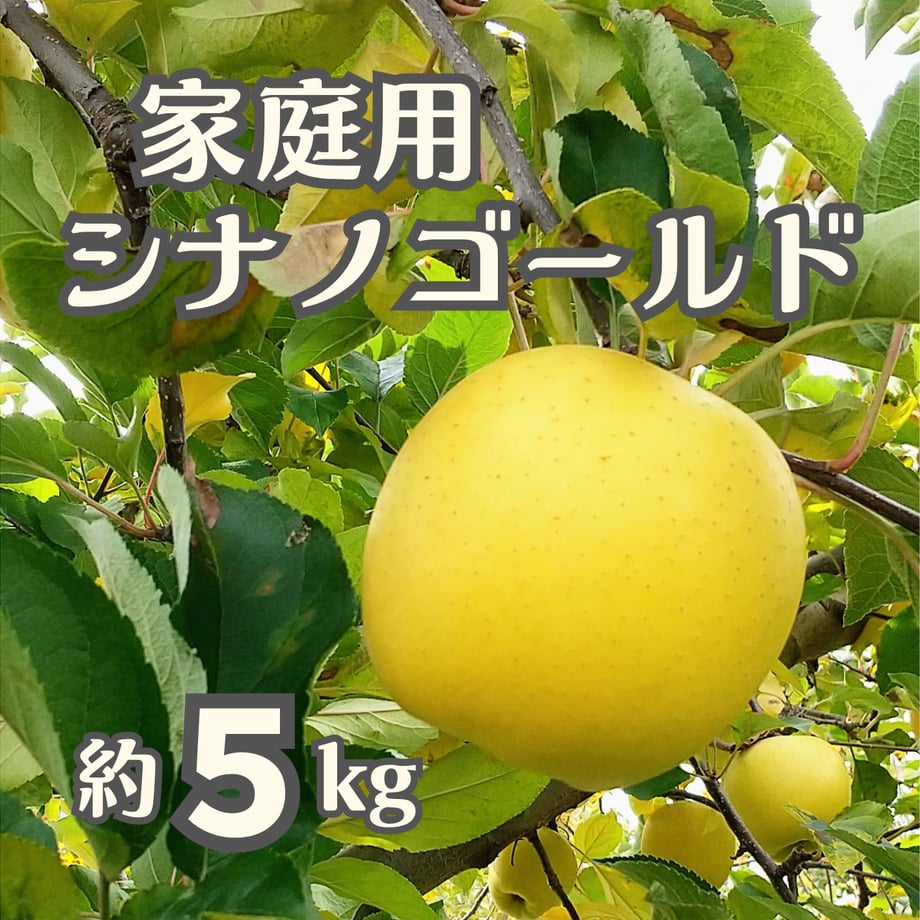 6accbbe185762b35fc18cd20