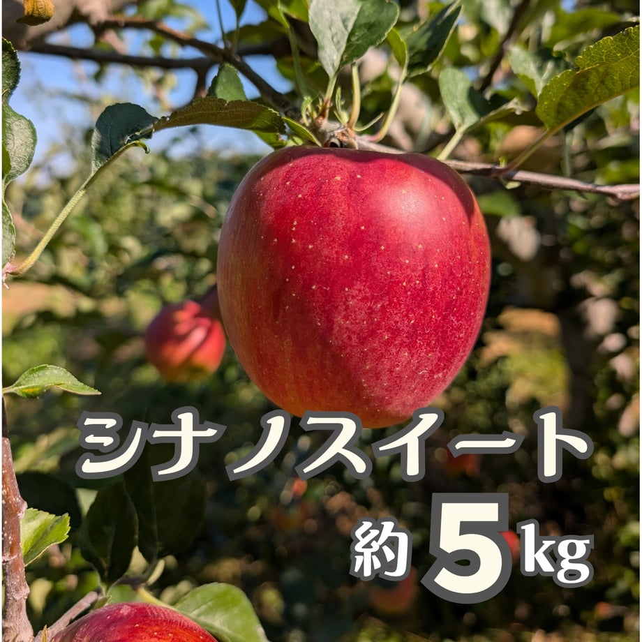 6accbc5ec3a2a8426018cb5c