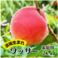 【2026年販売終了】須坂生まれのワッサー〈家庭用〉2kg 9〜12玉☆農家直販価格