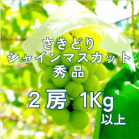 【2026年販売開始】さきどりシャインマスカット秀品2房1kg以上☆サマーギフトにも