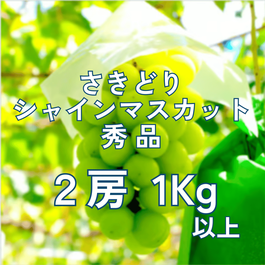 6a58295527d5b2bb05d40b48