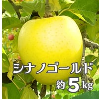 【2026年販売開始】シナノゴールド秀品5kg☆爽やかな甘みでシャキシャキ ギフトにも♪