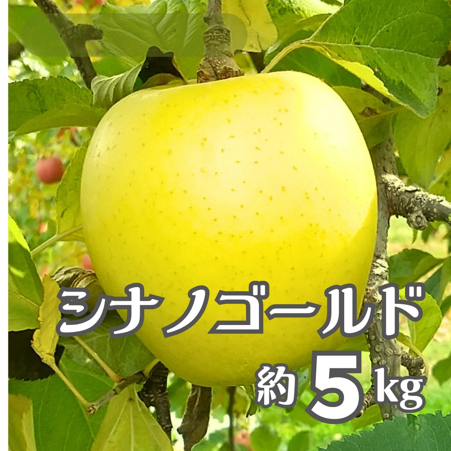 6accbb55f5104bfd74f57da0