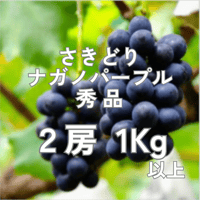 【2026年販売開始】さきどりナガノパープル秀品2房1kg以上☆サマーギフトにも
