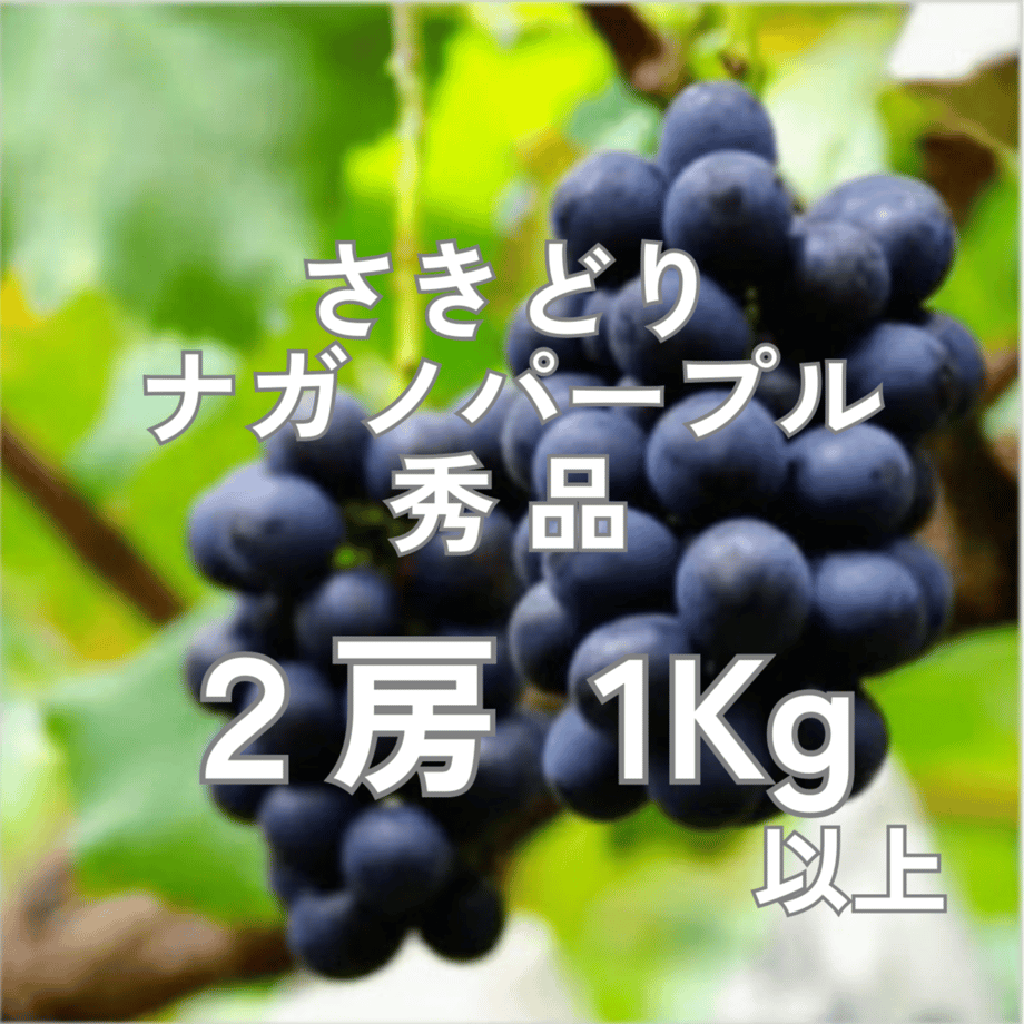 6a4c3e6a2358c6e43d75212c