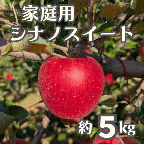 【2026年販売開始】家庭用シナノスイート5kg☆お得で美味しい♪