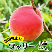 【2026年販売終了】須坂生まれのワッサー〈秀品〉2kg 6〜8玉☆ギフトにも