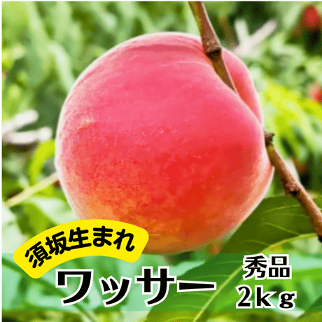 【2026年販売終了】須坂生まれのワッサー〈秀品〉2kg 6〜8玉☆ギフトにも