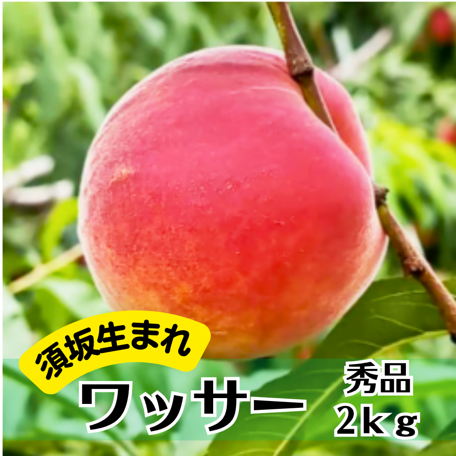 2026年販売終了】須坂生まれのワッサー〈秀品〉2kg 6〜8玉☆ギフトにも