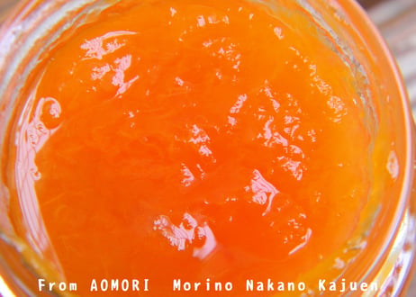 青森県産　森果樹印のあんずジャム