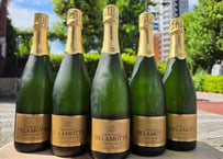 【訳あり】ドゥラモット　ブラン・ド・ブラン　ブリュット2018　750ml