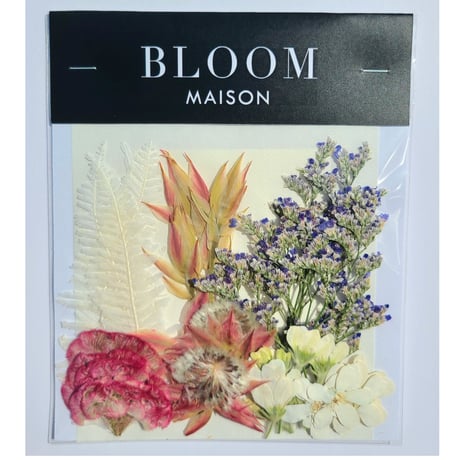 押し花｜花材セット セルリア Pressed Flower Kit インテリア・ギフト・ウェルカムボードなどのハンドメイドに　F-1102　BLOOM MAISON